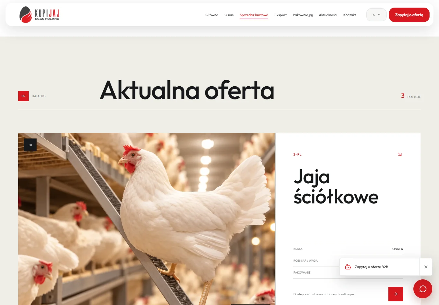 Katalog Kupijaj Eggs Poland — karta jaj ściółkowych z klasą, rozmiarem i sposobem pakowania