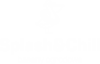 Logo Splash&Chill z pelikanem